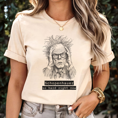 Schopenhauer so hard right now | Philosophers collection